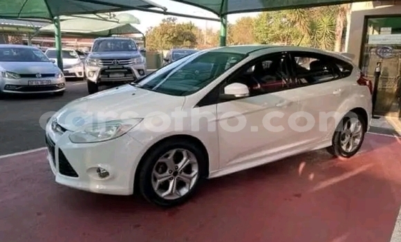 Buy Used Ford Focus White Car in Maseru in Maseru Buy Used Ford Focus White Car in Maseru in Maseru