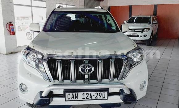 اشتري مستعمل Toyota Land Cruiser Prado White سيارة في Maseru في Maseru اشتري مستعمل Toyota Land Cruiser Prado White سيارة في Maseru في Maseru