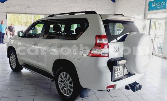 اشتري مستعمل Toyota Land Cruiser Prado White سيارة في Maseru في Maseru اشتري مستعمل Toyota Land Cruiser Prado White سيارة في Maseru في Maseru