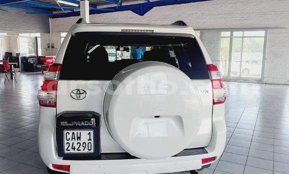 اشتري مستعمل Toyota Land Cruiser Prado White سيارة في Maseru في Maseru اشتري مستعمل Toyota Land Cruiser Prado White سيارة في Maseru في Maseru