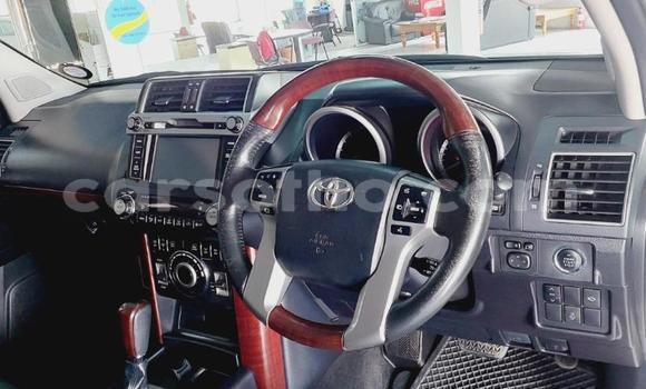 اشتري مستعمل Toyota Land Cruiser Prado White سيارة في Maseru في Maseru اشتري مستعمل Toyota Land Cruiser Prado White سيارة في Maseru في Maseru