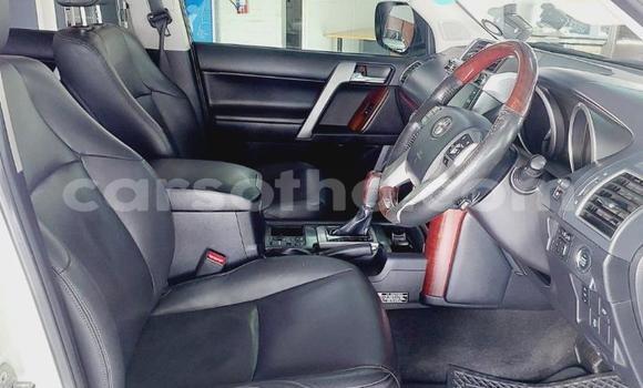 اشتري مستعمل Toyota Land Cruiser Prado White سيارة في Maseru في Maseru اشتري مستعمل Toyota Land Cruiser Prado White سيارة في Maseru في Maseru