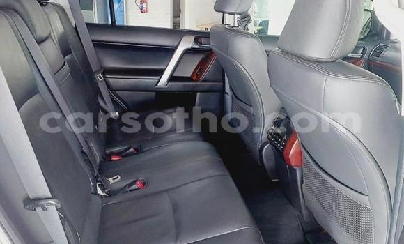 اشتري مستعمل Toyota Land Cruiser Prado White سيارة في Maseru في Maseru اشتري مستعمل Toyota Land Cruiser Prado White سيارة في Maseru في Maseru