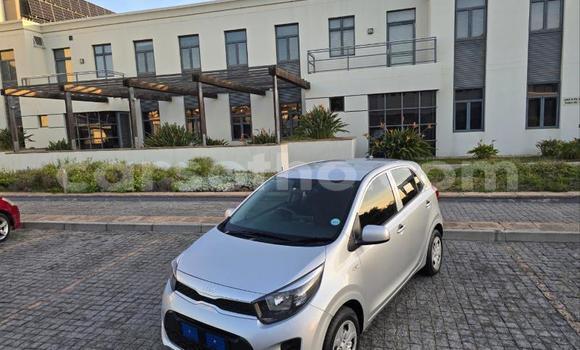 Buy Used Kia Picanto Silver Car in Maseru in Maseru Buy Used Kia Picanto Silver Car in Maseru in Maseru
