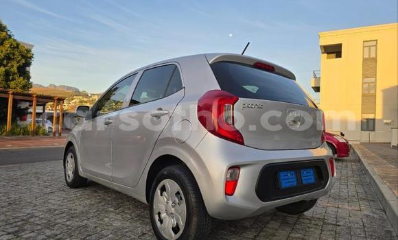 Buy Used Kia Picanto Silver Car in Maseru in Maseru Buy Used Kia Picanto Silver Car in Maseru in Maseru