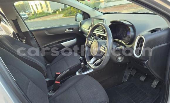 Buy Used Kia Picanto Silver Car in Maseru in Maseru Buy Used Kia Picanto Silver Car in Maseru in Maseru