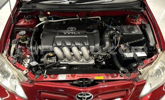 Sayi Na hannu Toyota Runx Red Mota in Maseru a Maseru Sayi Na hannu Toyota Runx Red Mota in Maseru a Maseru