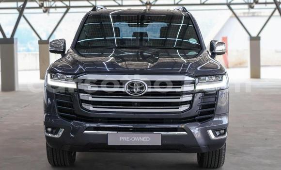 Acheter Occasion Voiture Toyota Land Cruiser Autre à Maseru, Maseru