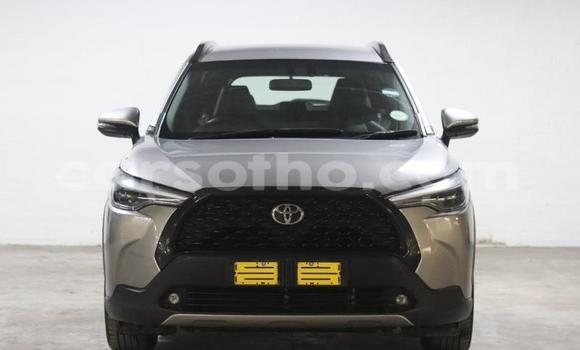 Buy Used Toyota Corolla Cross Silver Car in Maseru in Maseru