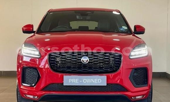 Buy Used Jaguar E-Pace Red Car in Maseru in Maseru
