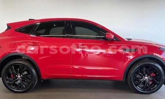 Sayi Na hannu Jaguar E-Pace Red Mota in Maseru a Maseru Sayi Na hannu Jaguar E-Pace Red Mota in Maseru a Maseru