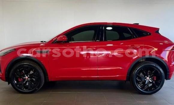 Sayi Na hannu Jaguar E-Pace Red Mota in Maseru a Maseru Sayi Na hannu Jaguar E-Pace Red Mota in Maseru a Maseru