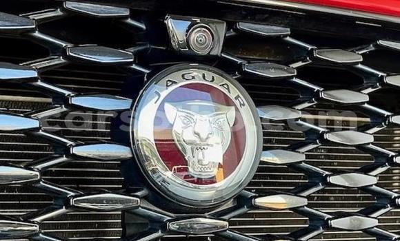 Sayi Na hannu Jaguar E-Pace Red Mota in Maseru a Maseru Sayi Na hannu Jaguar E-Pace Red Mota in Maseru a Maseru