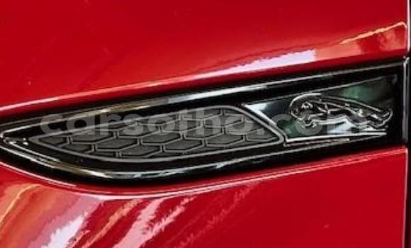 Sayi Na hannu Jaguar E-Pace Red Mota in Maseru a Maseru Sayi Na hannu Jaguar E-Pace Red Mota in Maseru a Maseru