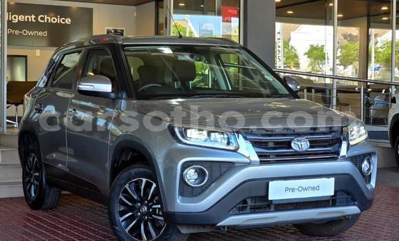 Buy Used Toyota Urban Cruiser Silver Car in Maseru in Maseru