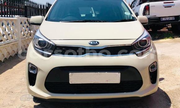 Buy Used Kia Picanto White Car in Maseru in Maseru Buy Used Kia Picanto White Car in Maseru in Maseru