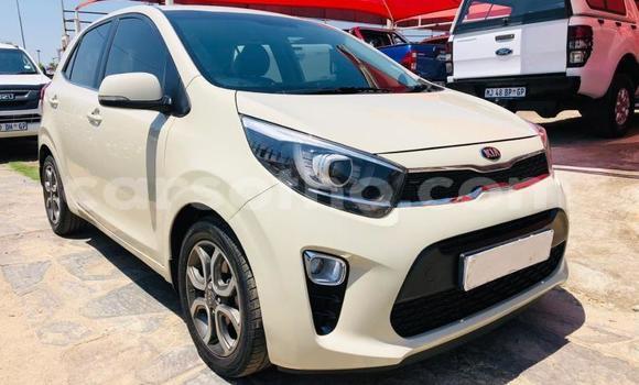 اشتري مستعمل Kia Picanto White سيارة في Maseru في Maseru اشتري مستعمل Kia Picanto White سيارة في Maseru في Maseru
