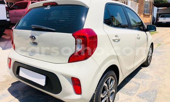 اشتري مستعمل Kia Picanto White سيارة في Maseru في Maseru اشتري مستعمل Kia Picanto White سيارة في Maseru في Maseru
