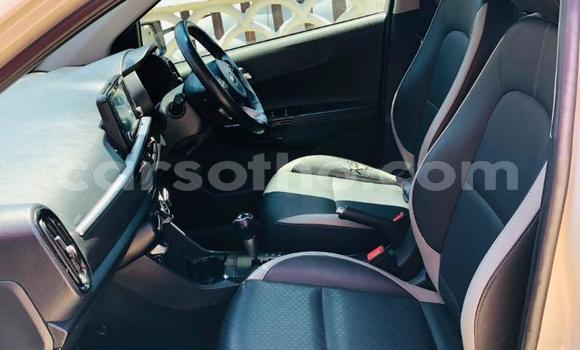 اشتري مستعمل Kia Picanto White سيارة في Maseru في Maseru اشتري مستعمل Kia Picanto White سيارة في Maseru في Maseru