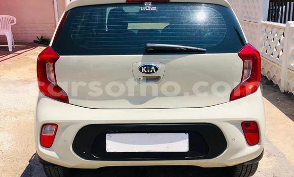 اشتري مستعمل Kia Picanto White سيارة في Maseru في Maseru اشتري مستعمل Kia Picanto White سيارة في Maseru في Maseru