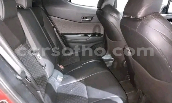 Acheter Occasion Voiture Toyota C-HR Rouge à Maseru, Maseru Acheter Occasion Voiture Toyota C-HR Rouge à Maseru, Maseru