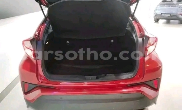 Acheter Occasion Voiture Toyota C-HR Rouge à Maseru, Maseru Acheter Occasion Voiture Toyota C-HR Rouge à Maseru, Maseru
