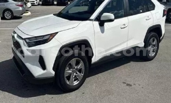 Sayi Na hannu Toyota RAV4 White Mota in Butha–Buthe a Thaba-Tseka