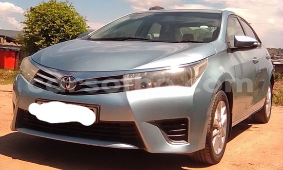 Buy Used Toyota Corolla Blue Car in Maseru in Maseru Buy Used Toyota Corolla Blue Car in Maseru in Maseru
