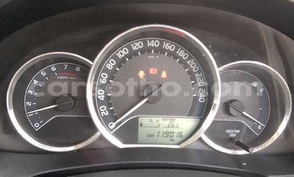 Buy Used Toyota Corolla Blue Car in Maseru in Maseru Buy Used Toyota Corolla Blue Car in Maseru in Maseru