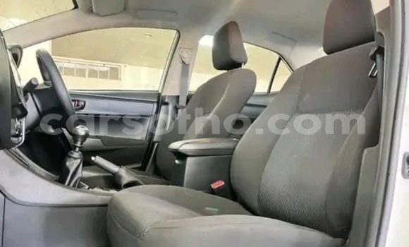 Buy Used Toyota Corolla White Car in Maseru in Maseru Buy Used Toyota Corolla White Car in Maseru in Maseru