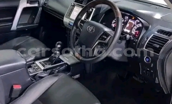 Buy Used Toyota Land Cruiser Prado White Car in Maseru in Maseru Buy Used Toyota Land Cruiser Prado White Car in Maseru in Maseru