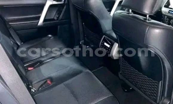Buy Used Toyota Land Cruiser Prado White Car in Maseru in Maseru Buy Used Toyota Land Cruiser Prado White Car in Maseru in Maseru