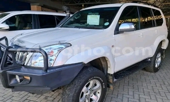 اشتري مستعمل Toyota Prado White سيارة في Maseru في Maseru اشتري مستعمل Toyota Prado White سيارة في Maseru في Maseru