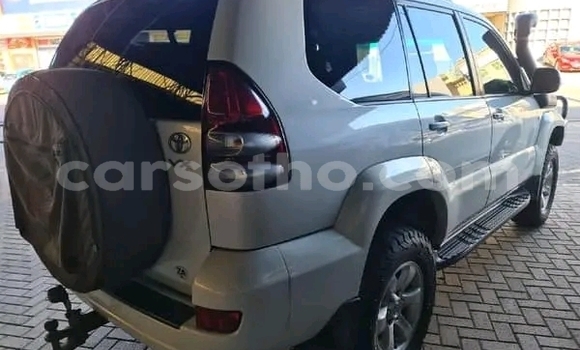 اشتري مستعمل Toyota Prado White سيارة في Maseru في Maseru اشتري مستعمل Toyota Prado White سيارة في Maseru في Maseru
