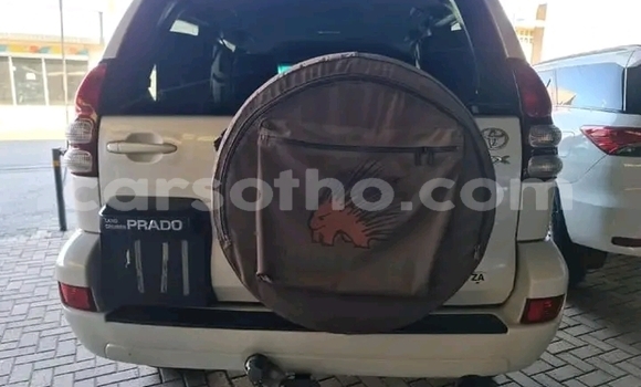 اشتري مستعمل Toyota Prado White سيارة في Maseru في Maseru اشتري مستعمل Toyota Prado White سيارة في Maseru في Maseru