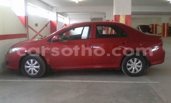 Acheter Occasion Voiture Toyota Corolla Rouge à Maseru, Maseru Acheter Occasion Voiture Toyota Corolla Rouge à Maseru, Maseru