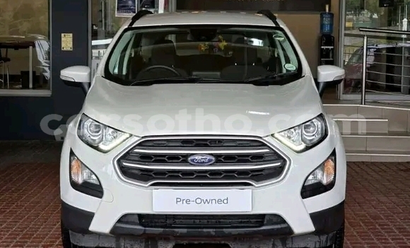 Acheter Occasion Voiture Ford EcoSport Blanc à Maseru, Maseru
