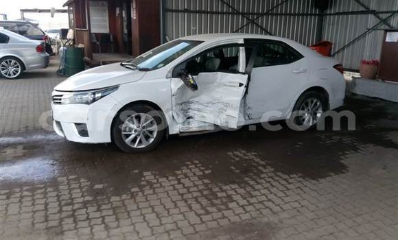 Acheter Occasion Voiture Toyota Corolla Blanc à Maseru, Maseru
