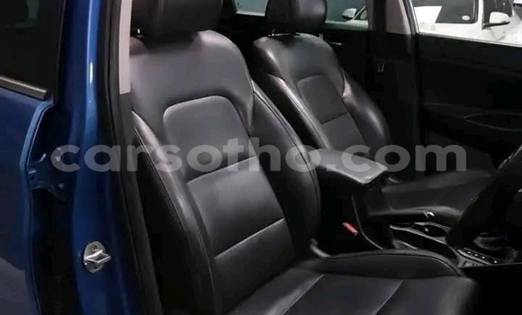 Buy Used Hyundai Tucson Blue Car in Maseru in Maseru Buy Used Hyundai Tucson Blue Car in Maseru in Maseru