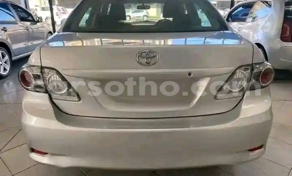 اشتري مستعمل Toyota Corolla Silver سيارة في Maseru في Maseru اشتري مستعمل Toyota Corolla Silver سيارة في Maseru في Maseru
