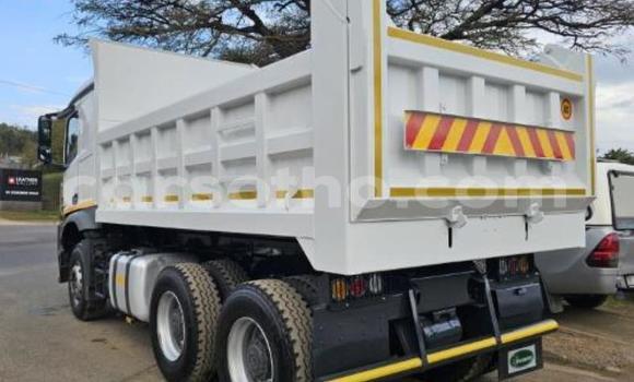 اشتري مستعمل Mercedes‒Benz Tipper White شاحنة في Maseru في Maseru اشتري مستعمل Mercedes‒Benz Tipper White شاحنة في Maseru في Maseru