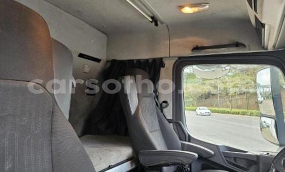 اشتري مستعمل Mercedes‒Benz Tipper White شاحنة في Maseru في Maseru اشتري مستعمل Mercedes‒Benz Tipper White شاحنة في Maseru في Maseru