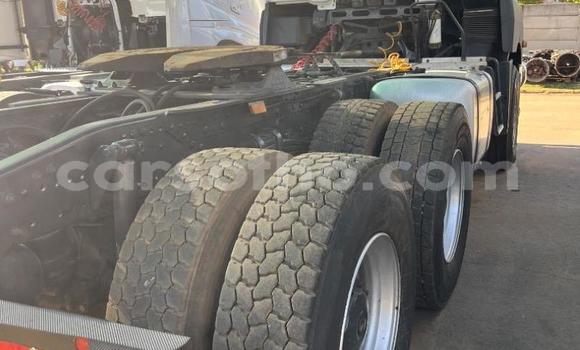 اشتري مستعمل Mercedes‒Benz Truck White شاحنة في Maseru في Maseru اشتري مستعمل Mercedes‒Benz Truck White شاحنة في Maseru في Maseru