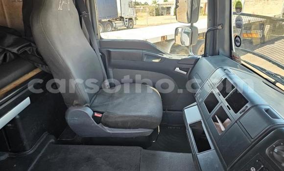 اشتري مستعمل Man Silent White شاحنة في Maseru في Maseru اشتري مستعمل Man Silent White شاحنة في Maseru في Maseru