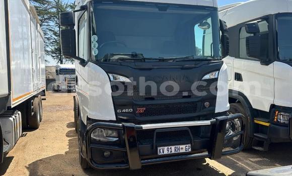 Acheter Occasion Utilitaire Scania R420 Blanc à Maseru, Maseru