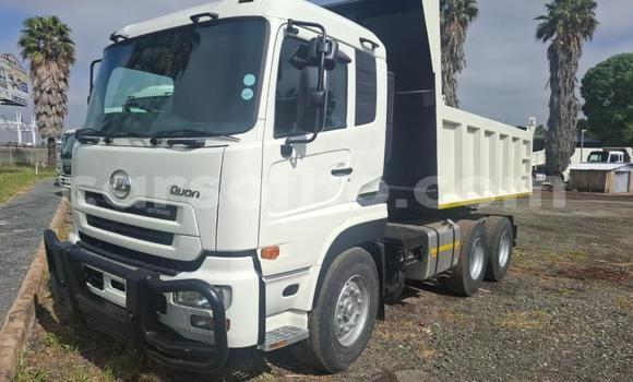 اشتري مستعمل Hino 300 Series White شاحنة في Maseru في Maseru