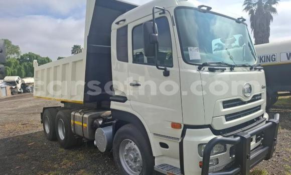 Acheter Occasion Utilitaire Hino 300 Series Blanc à Maseru, Maseru Acheter Occasion Utilitaire Hino 300 Series Blanc à Maseru, Maseru