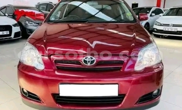 اشتري مستعمل Toyota Runx Red سيارة في Maseru في Maseru