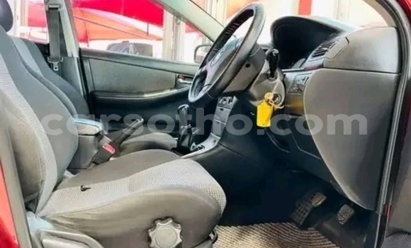 Acheter Occasion Voiture Toyota Runx Rouge à Maseru, Maseru Acheter Occasion Voiture Toyota Runx Rouge à Maseru, Maseru