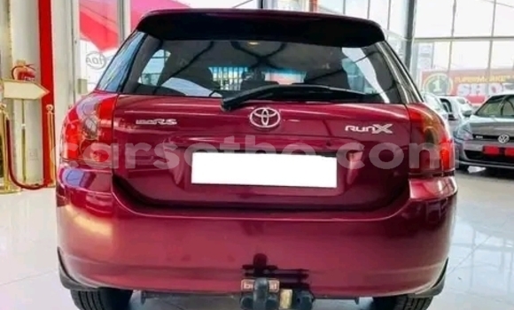 Acheter Occasion Voiture Toyota Runx Rouge à Maseru, Maseru Acheter Occasion Voiture Toyota Runx Rouge à Maseru, Maseru